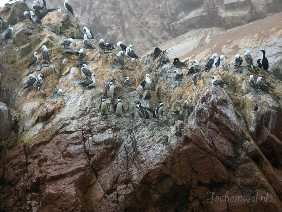 Peru 2003