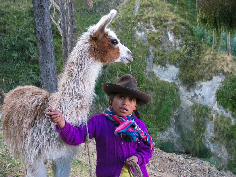 Peru 2003