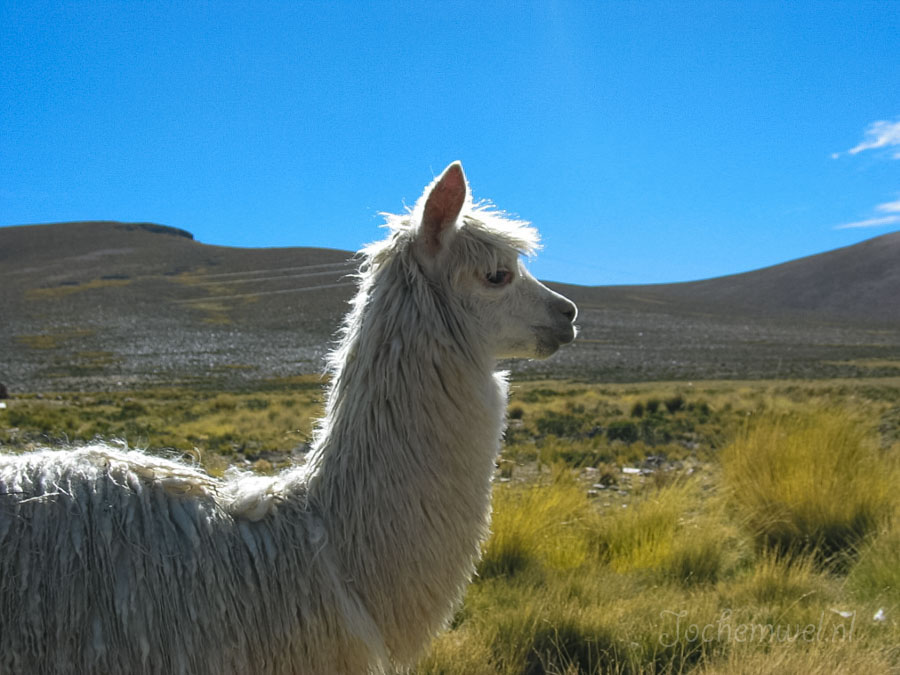 Peru 2003