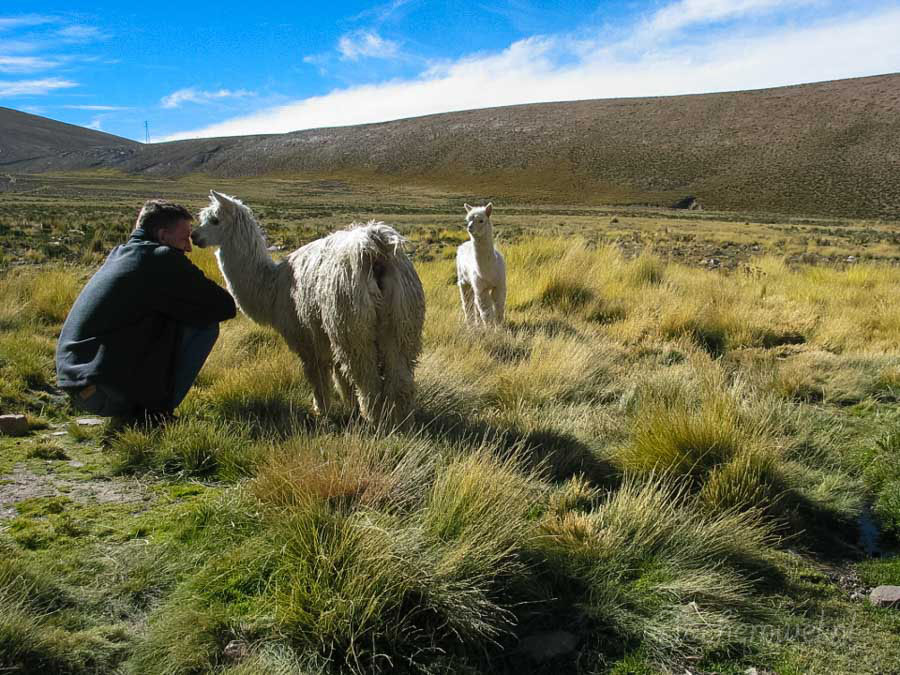 Peru 2003