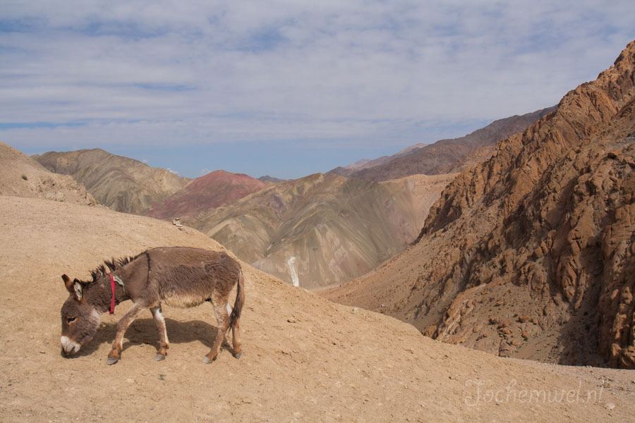 Ladakh 2006