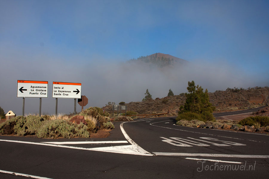 Tenerife 2010