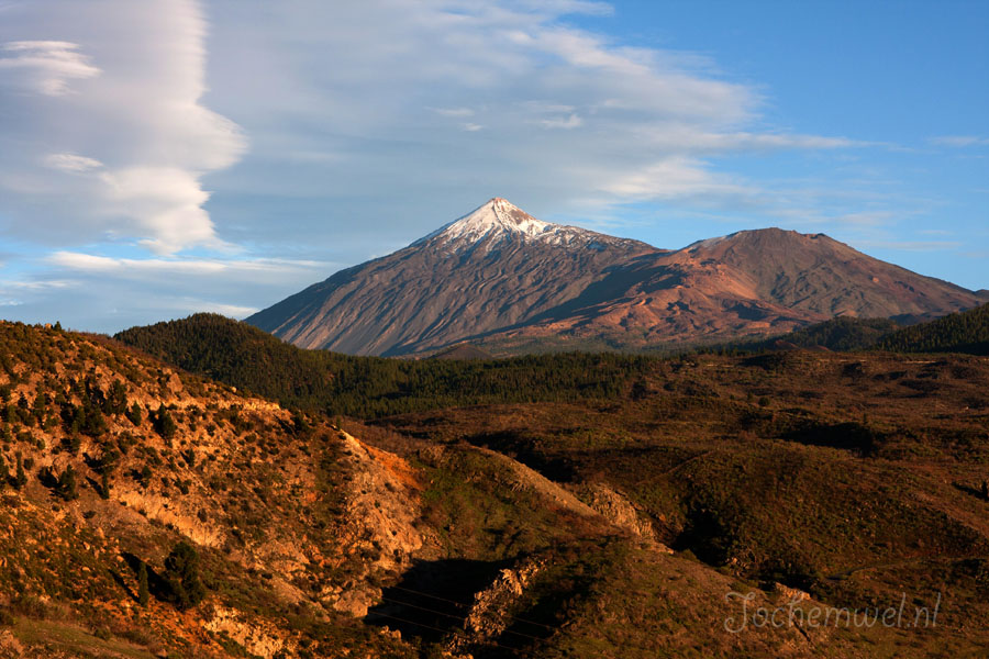 Tenerife 2010