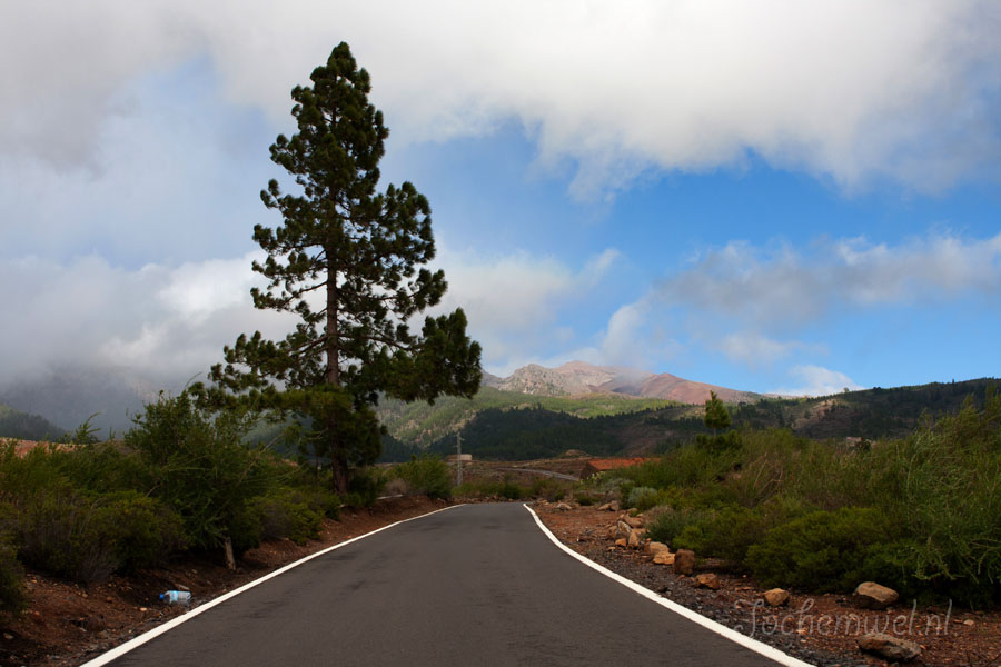 Tenerife 2010