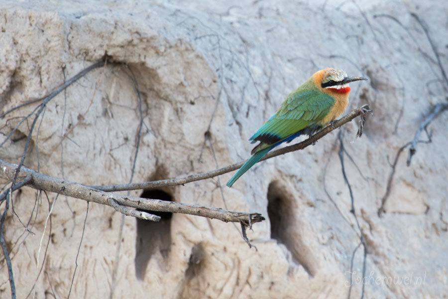 Namibië en Botswana