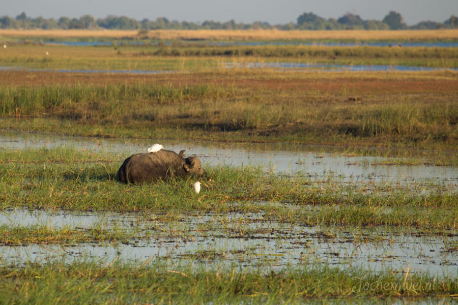Namibië en Botswana