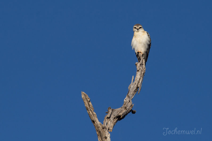 Namibië en Botswana