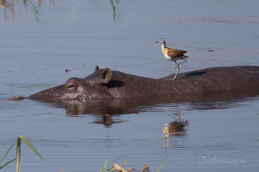 Namibië en Botswana