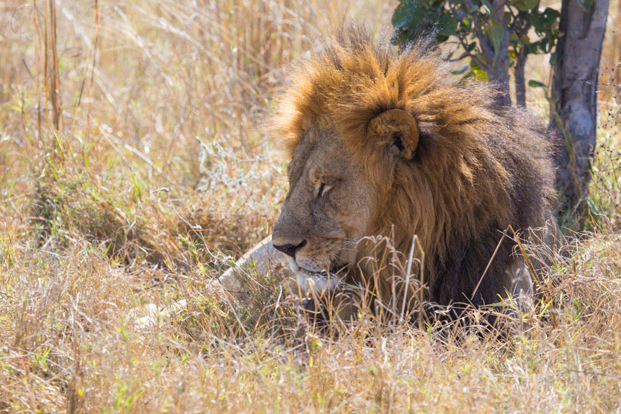 Namibië en Botswana