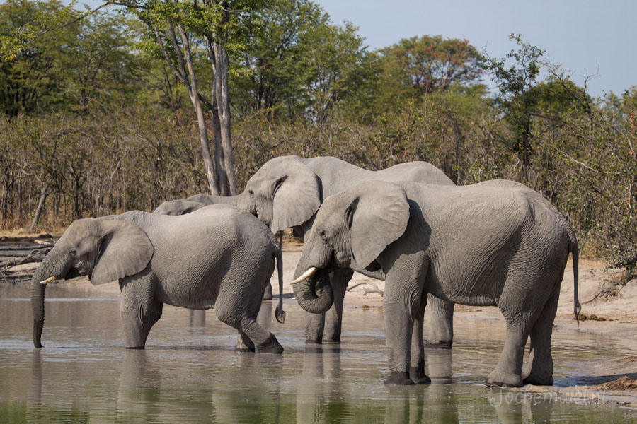 Namibië en Botswana
