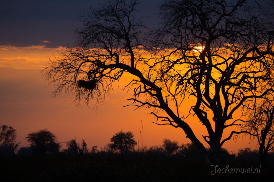 Namibië en Botswana