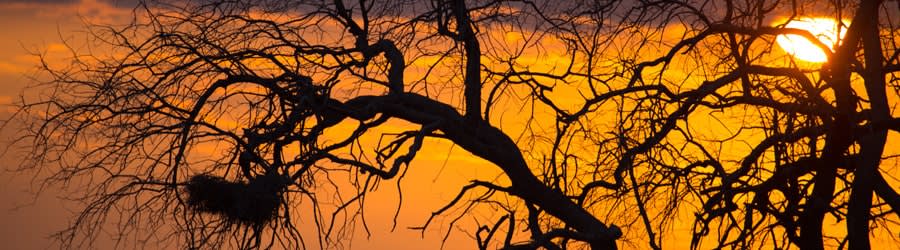 Namibië en Botswana 2017