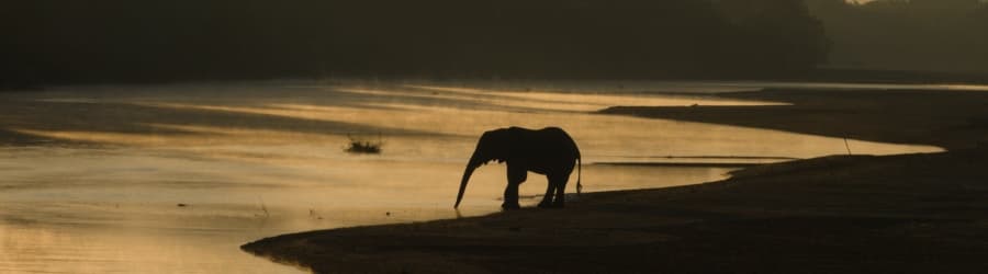 Zambia 2026